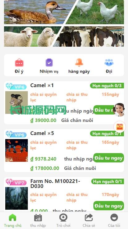 [最新]亲测多國語言/二开版特惠投资理财系统/任务图推广注册奖励/投资理财源码系统源码