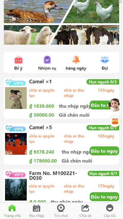 亲测多國語言 二开版特惠投资理财系统 任务图推广注册奖励 投资理财源码